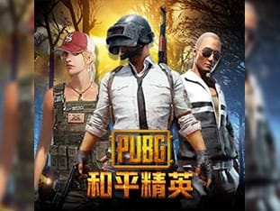 Pubg screenshot